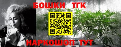 стафф Новозыбков