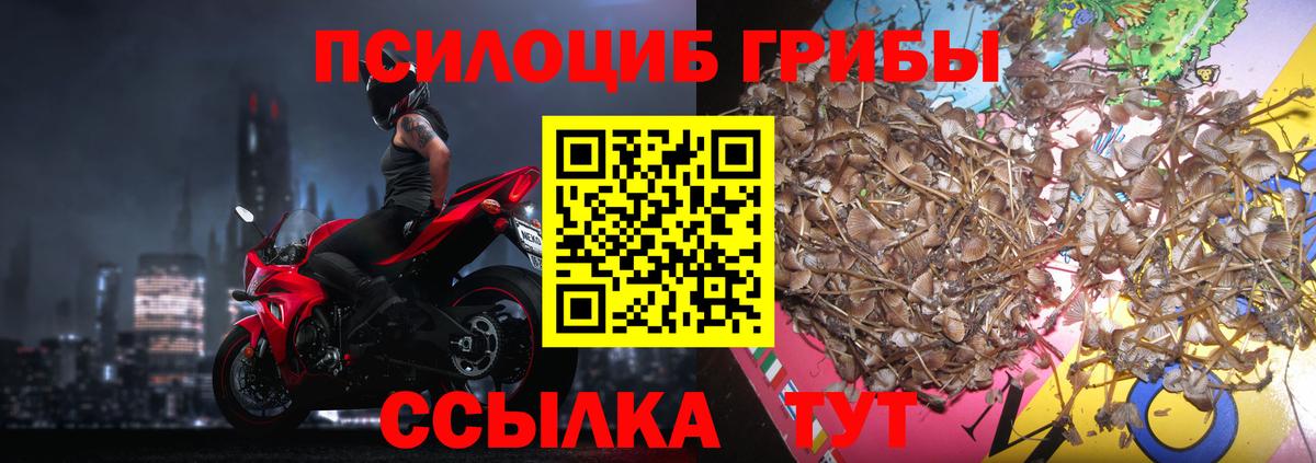 Галлюциногенные грибы Cubensis  Вход с VPN  Шелехов 